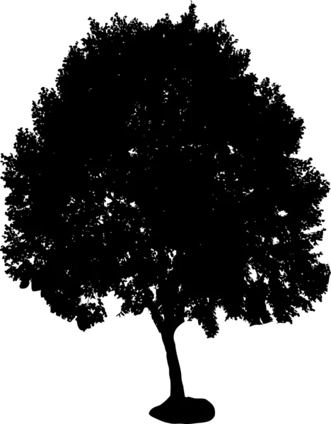 树剪影 — 图库矢量图片