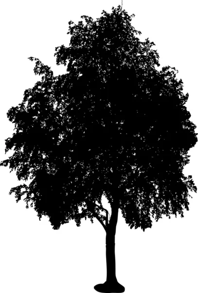 Silhouette d'arbre — Image vectorielle