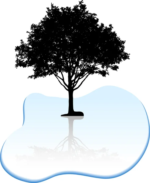 Tree silhouette. — Stock Vector