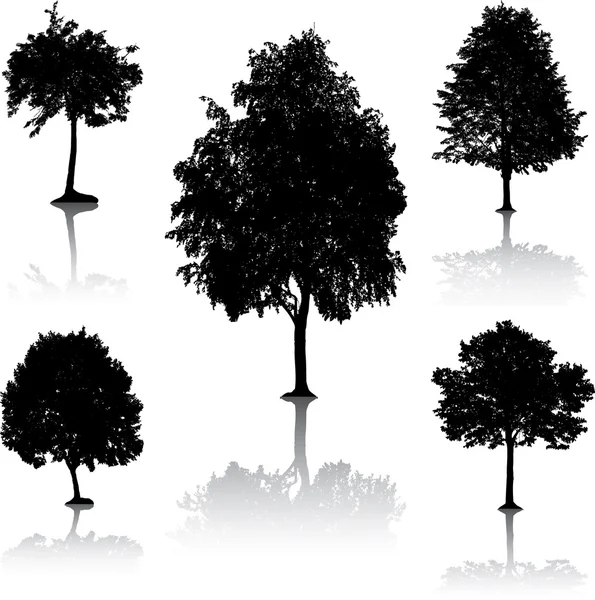 Tree silhouettes. [Vector]. — Stockový vektor