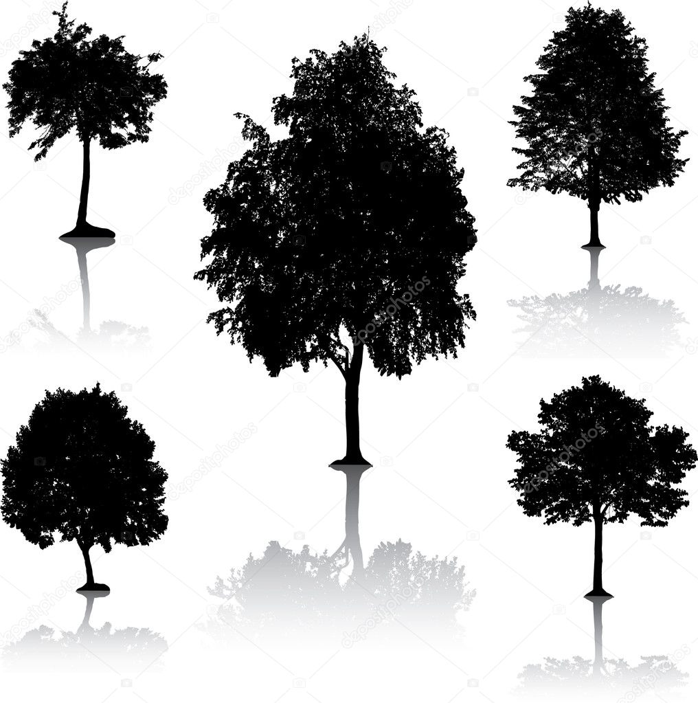 Tree silhouettes. [Vector].