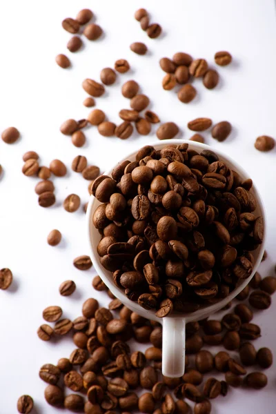 stock image Cup with coffee beans