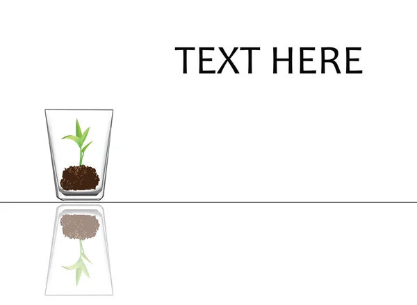 Plantor i ett glas — Stock vektor