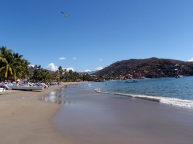 Boats lined up on beach in Zihuatanejo with bird flying overhead clipart