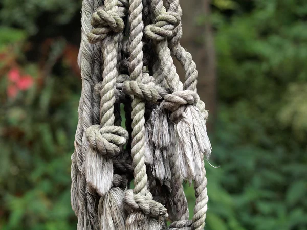 Corde appese legate in nodi in un giardino — Foto Stock