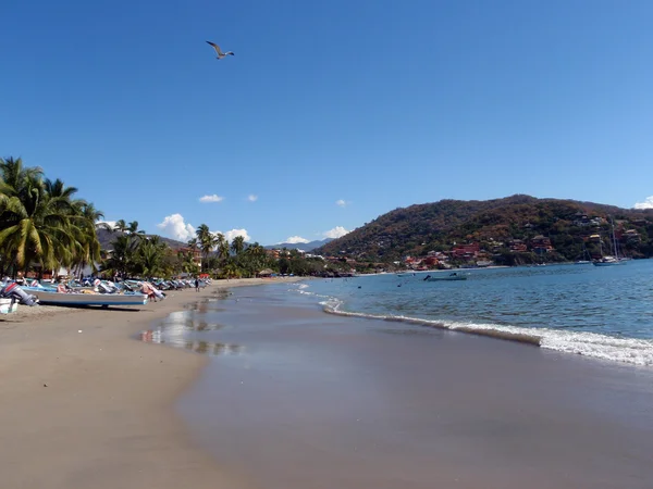 Boats lined up on beach in Zihuatanejo with bird flying overhead — Stock Photo, Image