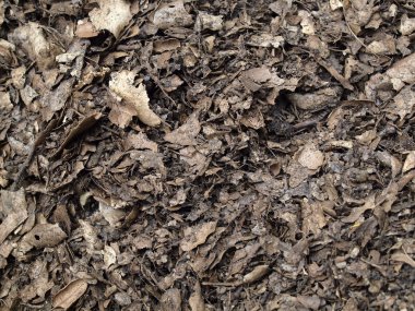 Leaf compost mulch for background clipart