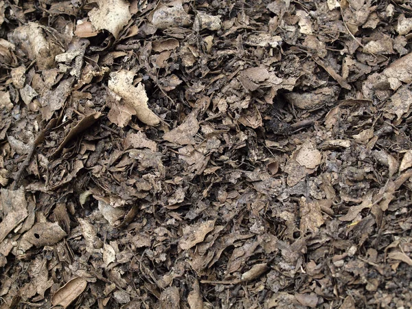 Мульча из листьев компоста для фона — стоковое фото