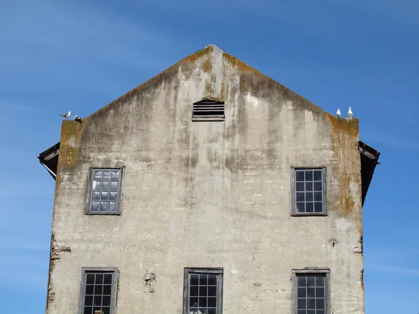 Cuatro gaviotas occidentales cuelgan en la parte superior del antiguo edificio —  Fotos de Stock
