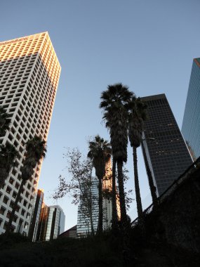 Downtown LA Skyscapers clipart