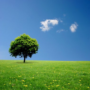 Lone Tree clipart