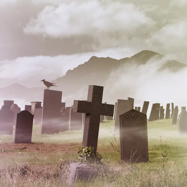 안개 낀 묘지 — 스톡 사진