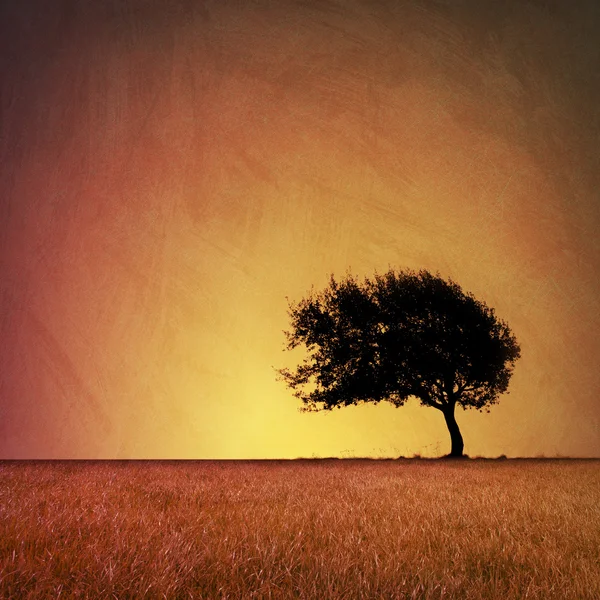 Einsamer Baum — Stockfoto