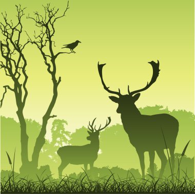 Male Stag Deer clipart