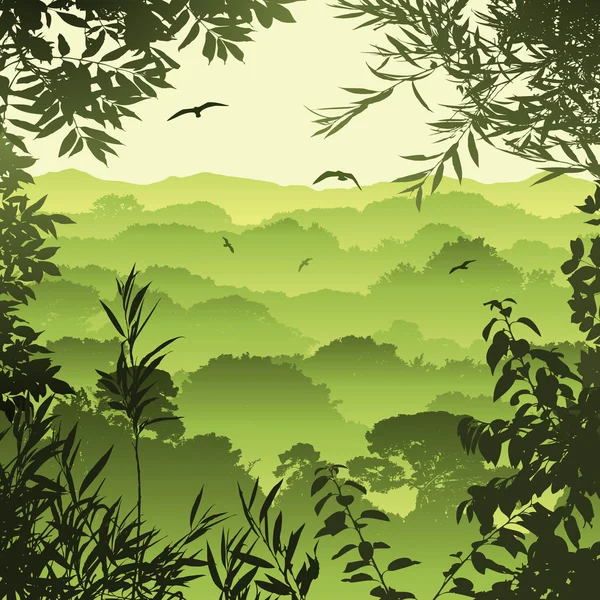 Bosque paisaje — Archivo Imágenes Vectoriales