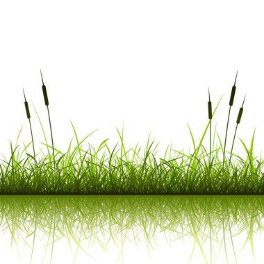 Grass Background clipart