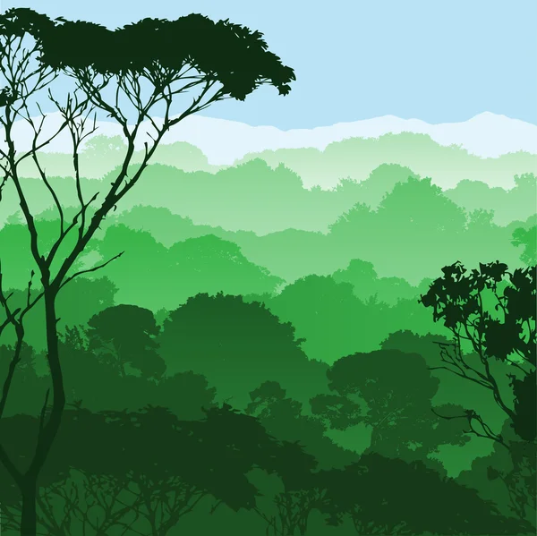 Paysage forestier — Image vectorielle
