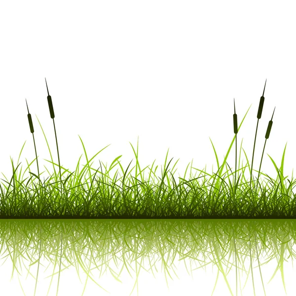 Tło trawy — Wektor stockowy