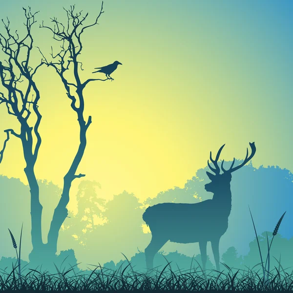 Male Stag Deer — Stock Vector