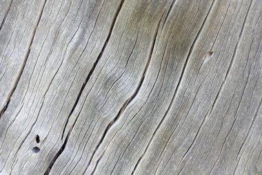 Old wood background clipart