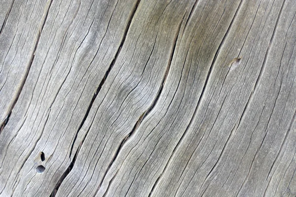 driftwood texture