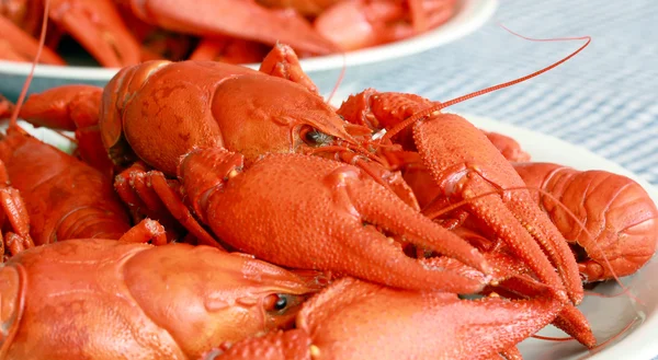 stock image Red as a lobster