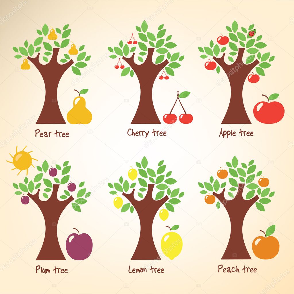 Different trees and fruits.