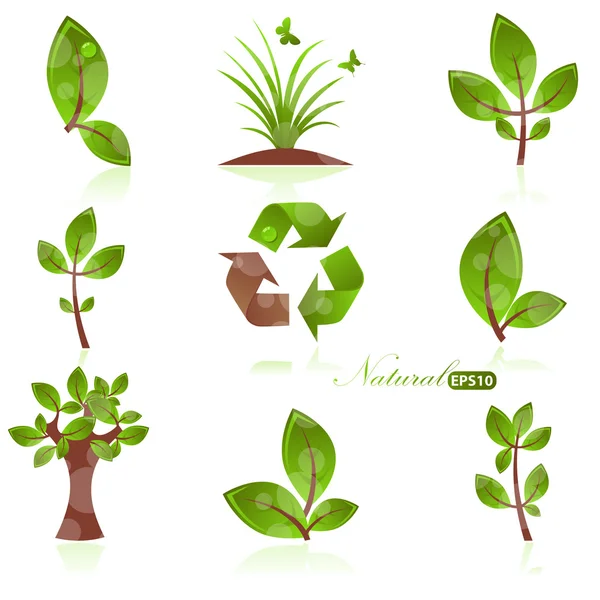 Set di piante verdi — Vettoriale Stock