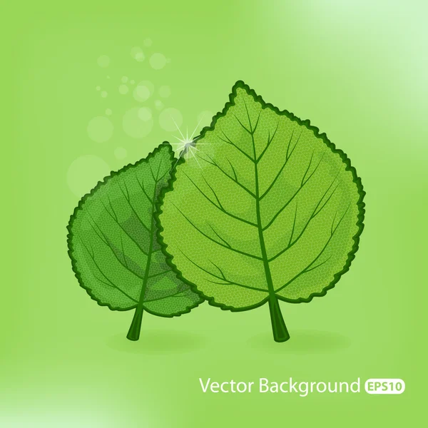 Natuurlijke vectorillustratie — Stockvector