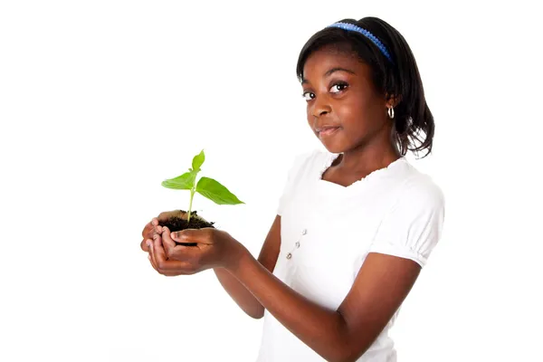 Dívka s rostlinou v ruce — Stock fotografie