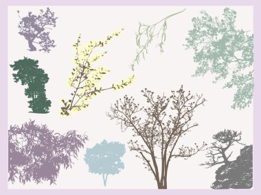 Trees tracing clipart