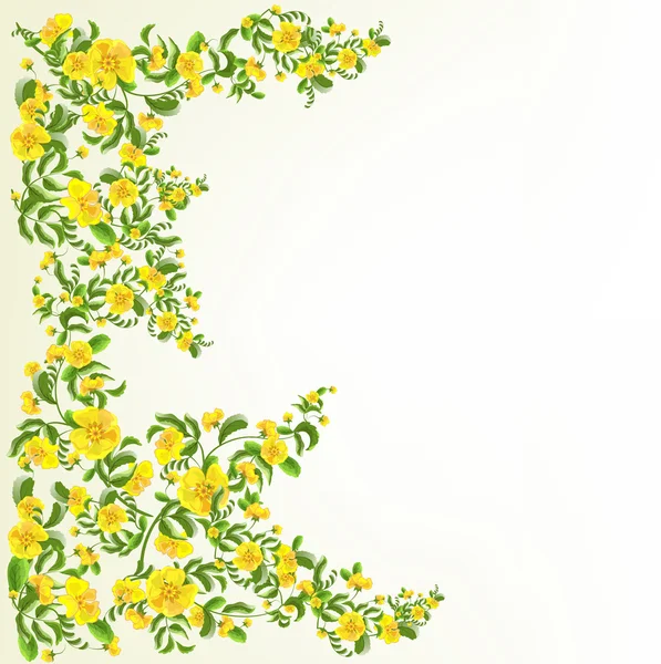 Gele bloemen achtergrond — Stockvector