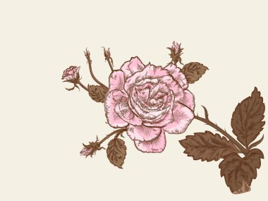 Retro rose clipart