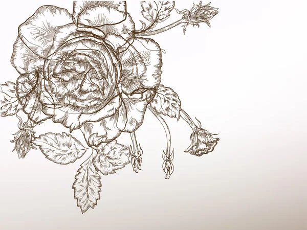 Graphique rose rétro — Image vectorielle