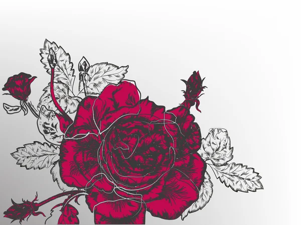 レトロな赤いバラのグラフィック — ストックベクタ