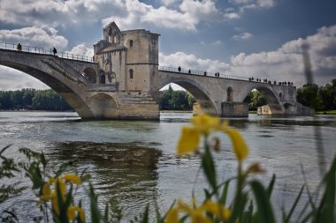 Avignon's bridge clipart