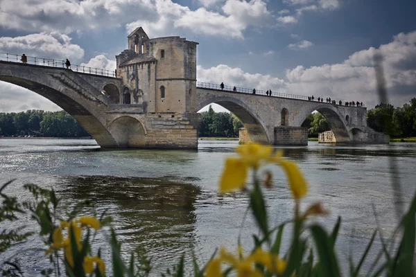 De brug van Avignon Rechtenvrije Stockfoto's