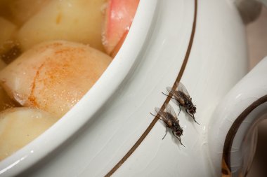 kötü hijyen - sıhhi tesisat sorunu - flyes gıda!