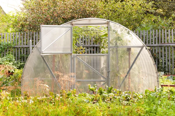 stock image Greenhouse