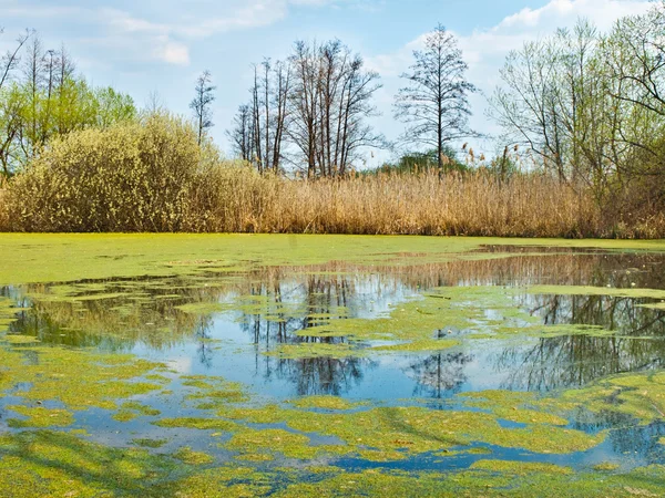 stock image Landscape