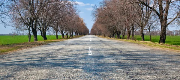 Droga asfaltowa — Zdjęcie stockowe