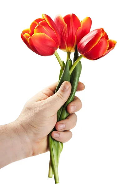 Ramo tulipanes —  Fotos de Stock