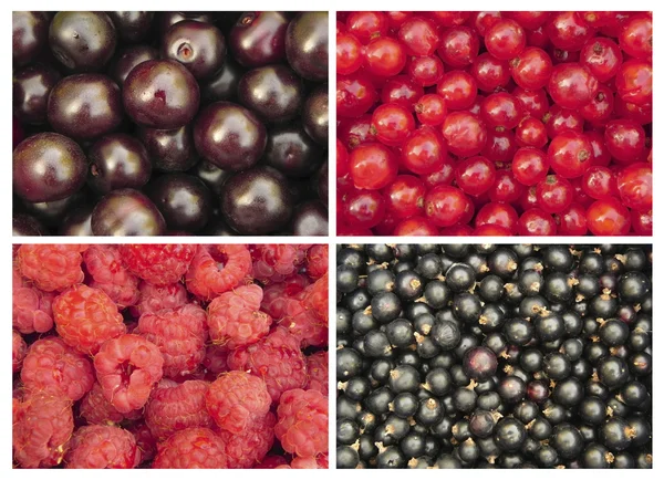 stock image Berry set.