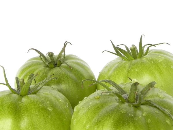 Grüne Tomaten. — Stockfoto