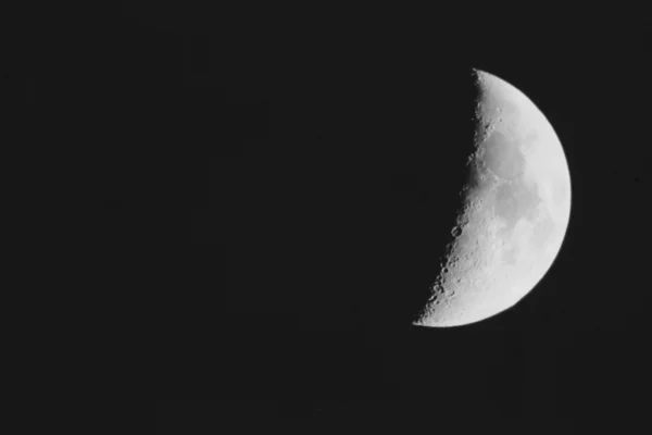 Moonlight — Zdjęcie stockowe