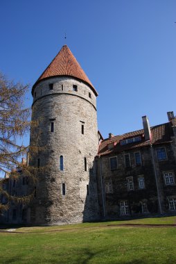 eski tallinn