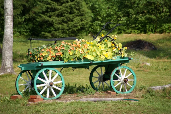Cart with flowers — Stock Photo, Image