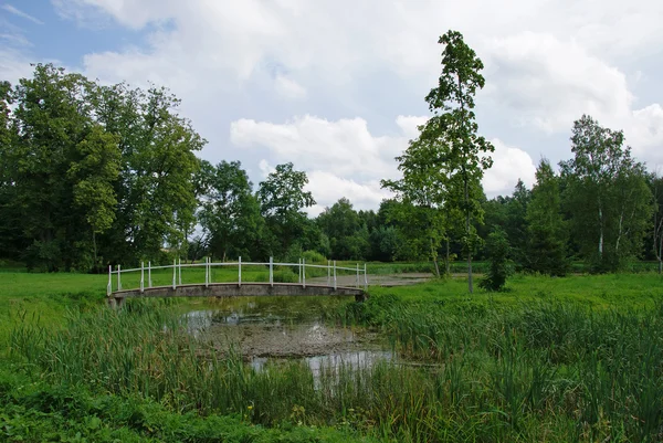 stock image Landscape