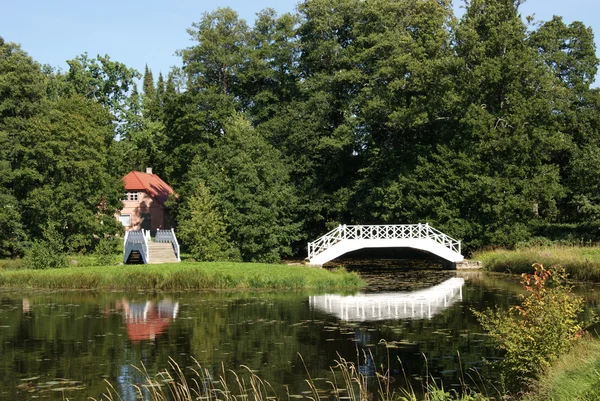Озеро и мост — стоковое фото