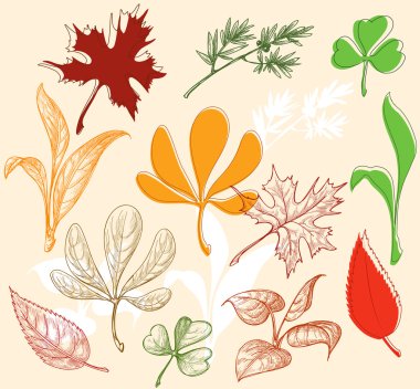 Autumn leaves set clipart